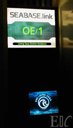 Seabase.Link terminals