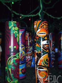 Brazil Rainforest