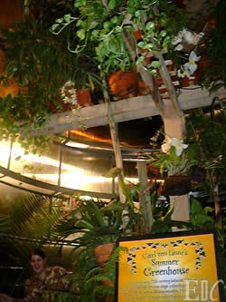Summer greenhouse