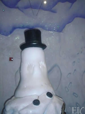 Winter snowman