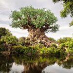 Disney's Animal Kingdom