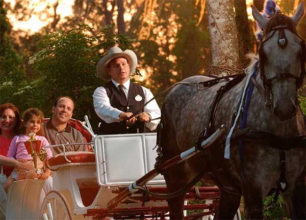 Horse Carriages Disney's horse drawn carriage rides