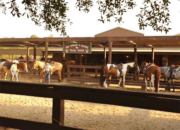 Tri Circle D Tri-Circle-D Ranch with horses